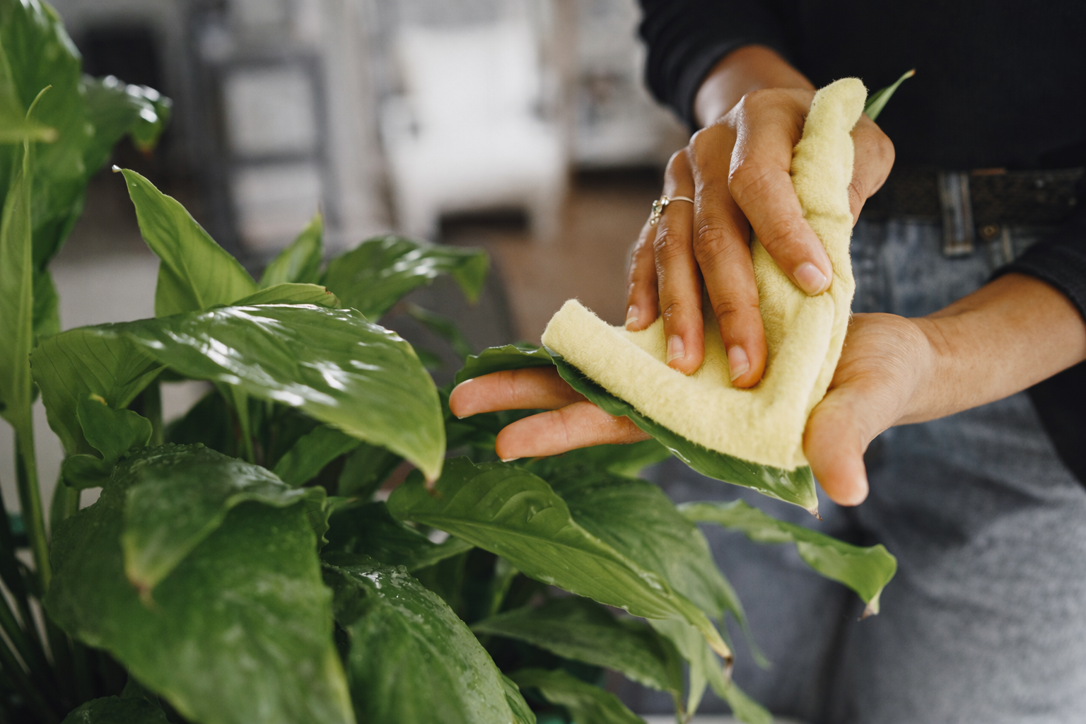 Zasady higieniczno-sanitarne